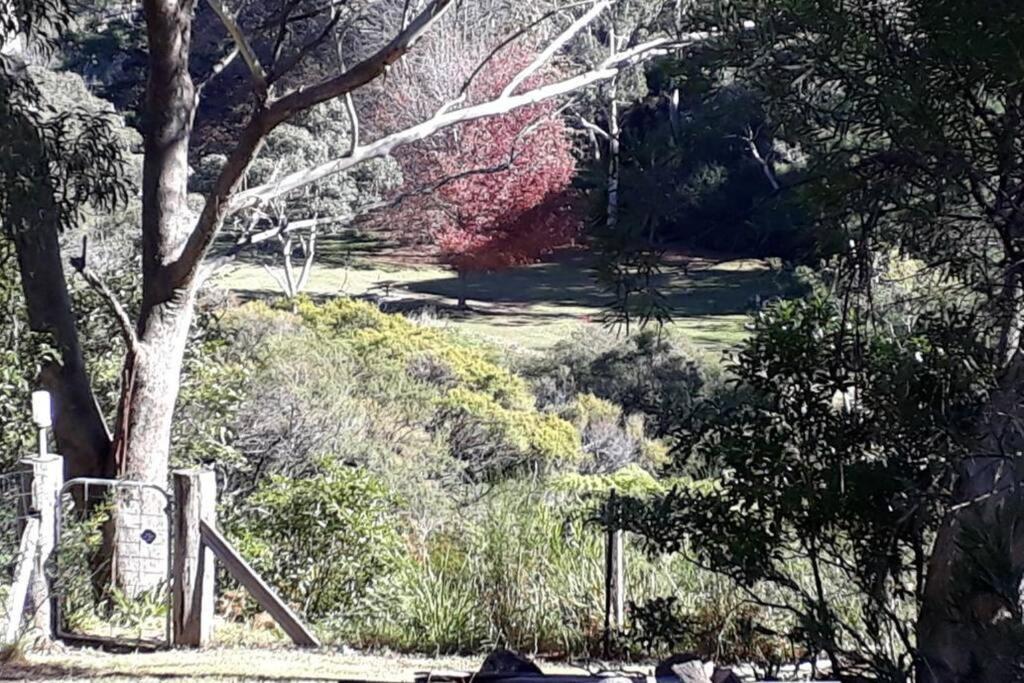 Katoomba Falls Cottage Luaran gambar
